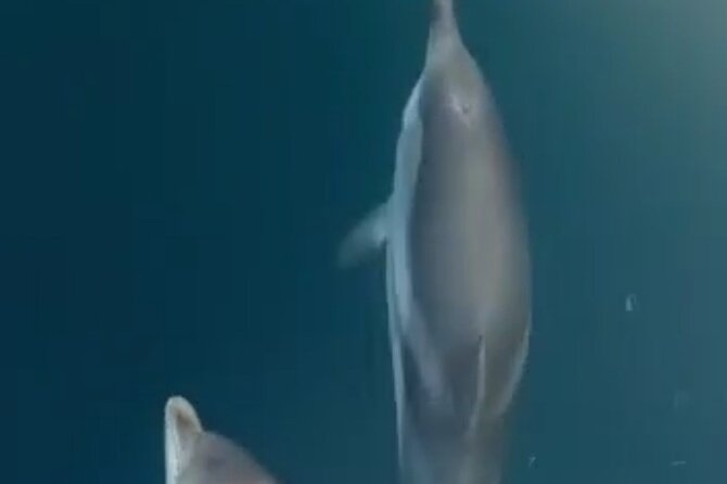 2.5 Hours Sunset Boat Tour in Search of Dolphins - From Giardini Naxos onto the Kristal Boat: what the start feels like