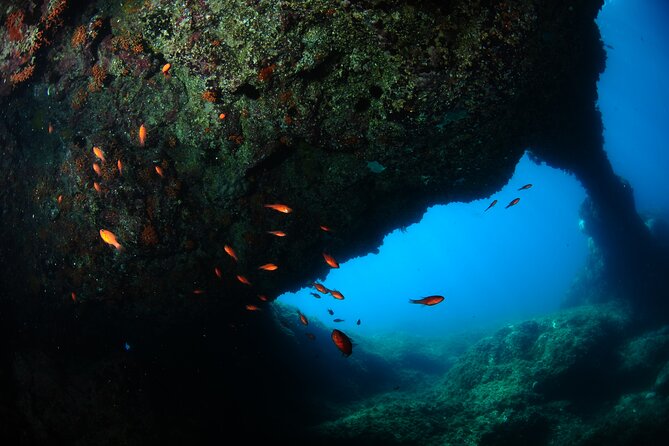 2 Dives from Diving Center (with full equipment) - Campeggio Jonio Bay: a volcanic setting built for learning