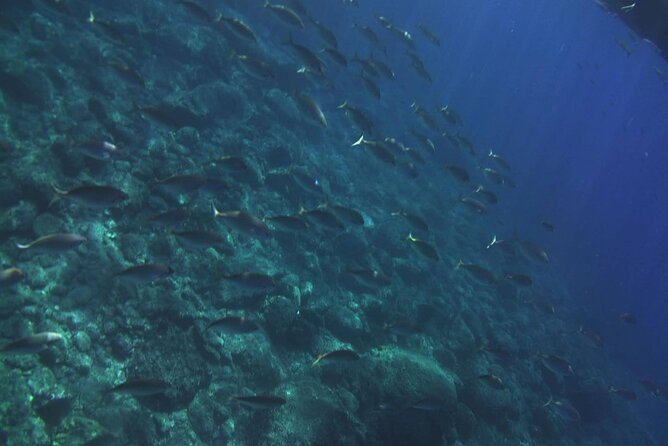 2 Hours Private Boat Tour Isola Bella Taormina Giardini Naxos - Two hours on the water: what this timing gets you