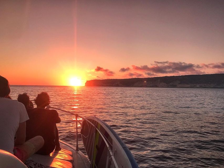 3-hour boat trip at sunset with the sighting Delfini - How the Search for Dolphins Really Feels