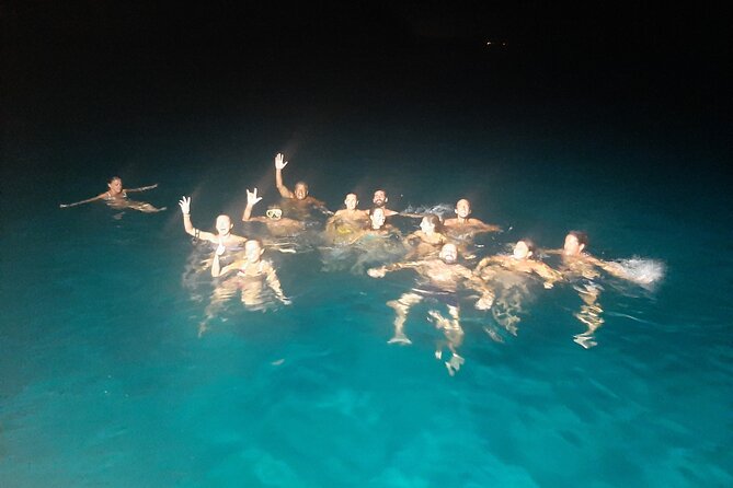 3-Hour Dolphin watching at sunset with aperitif - Dolphin watching near the boat: what to expect and how to spot movement
