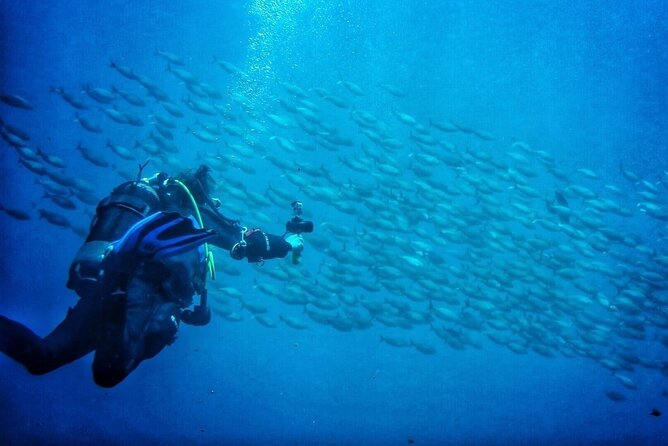 3-Hour Try Scuba Private Guided Sea Baptism from Palermo - Meeting at Via Palermo 1 in Isola delle Femmine