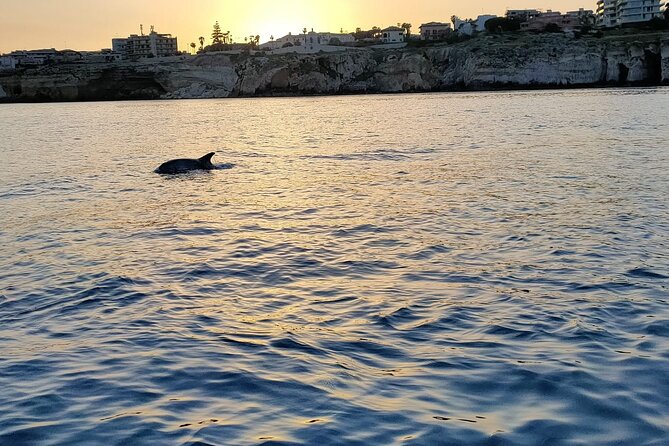 3 Hours Private Boat Tour of the Island of Ortigia with Aperitif - Plemmirio and the Gulf of Pillirina: where the water earns the hype