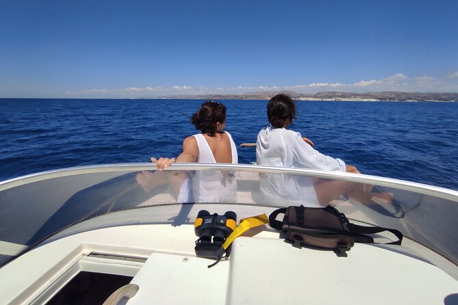4 Hours Dolphin Watching Tour in Porto Empedocle - From Porto Empedocle: a dolphin hunt that feels like real science time