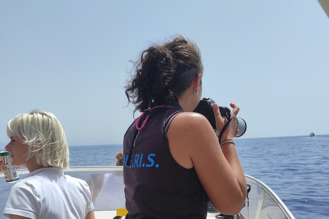 4 Hours Dolphin Watching Tour in Porto Empedocle - The 4-hour rhythm: what your day usually looks like
