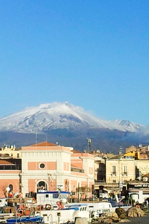 6-Hour Mount Etna Excursion - Hotel Pickup and a Comfortable Ride Into Etna Country
