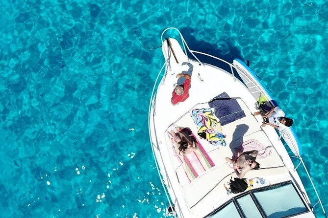 7 hours Boat trip to Lampedusa lunch, SUP and Snorkeling - Dolphin and sea turtle chances: what to realistically expect