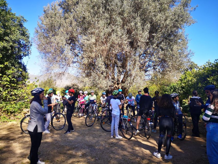 a PRIVATE ride of Favorita Park and Mondello - What You’re Really Getting: Favorita Park Meets Mondello