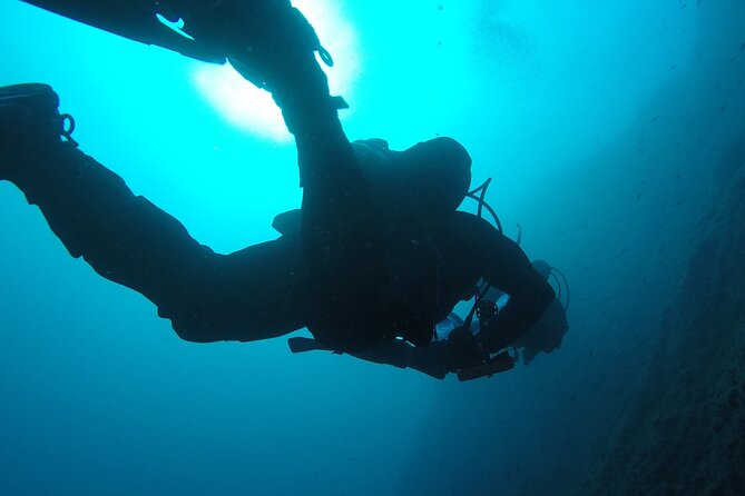 Aci Castello Immersioni per Subacquei Brevettati - Safety and the “pro crew” factor