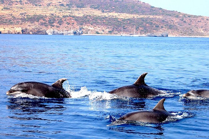 Aeolian Islands - Sailing week with skipper and assistant - Panarea and Stromboli: Ship Rock time and Sciara di Fuoco at night