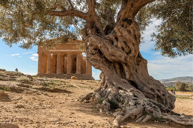 Agrigento to Siracusa with Valley of Temples and Roman Villa Trip - Province of Syracuse: flexible time and an easier finish