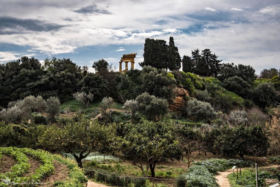 Agrigento Valley of the Temples and Kolymbethra Private Tour - Start at Tempio di Giunone: your orientation point
