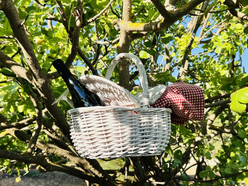 Agrigento: Valley of the Temples Gardens Picnic Experience - Entering Kolymbethra: how this picnic fits into the Valley