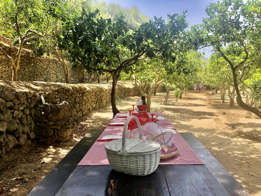 Agrigento: Valley of the Temples Gardens Picnic Experience - The laurel tree shade and the constant water sound