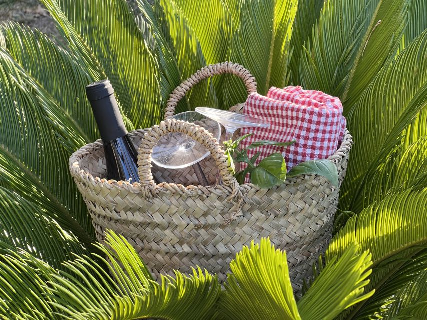 Agrigento: Valley of the Temples Gardens Picnic Experience - Who this picnic is best for (and who should skip it)