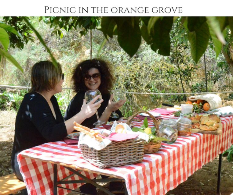 Agrigento: Valley of the Temples Gardens Picnic Experience - Practical meeting details that prevent stress