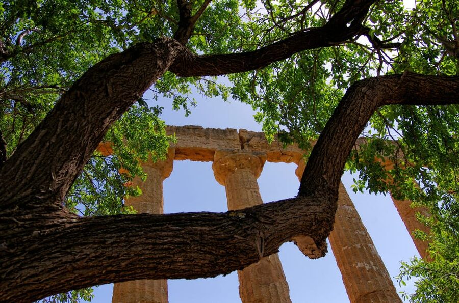Agrigento: Valley of the Temples Private Archeological Tour - Olympian Zeus remains: learning to see fragments as a whole