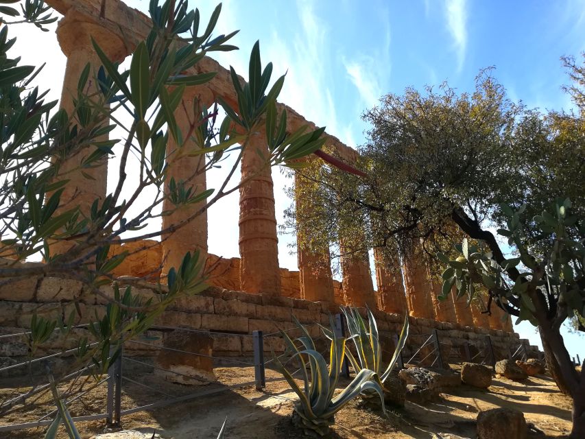 Agrigento: Valley of the Temples Private Tour - Jupiter (Zeus): earthquakes, a quarry past, and Telamons over 7 meters
