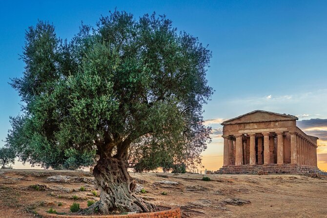 Agrigento; Valley of the Temples, Scala dei Turchi from Palermo, Private Tour - Tips to make the most of your day