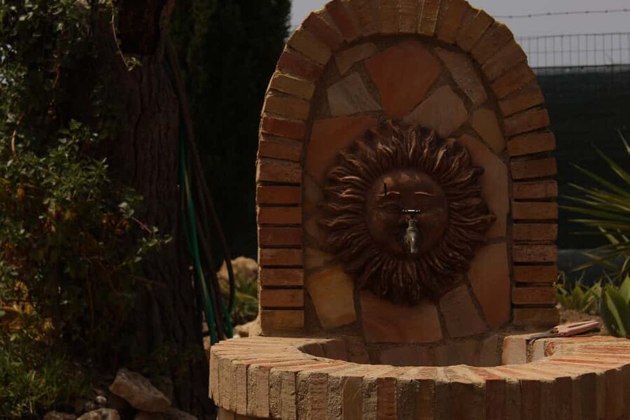 Agrigento: Wine tasting and walk in the vineyards. - Key things I’d note before you book