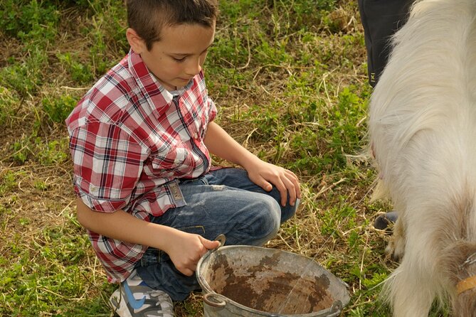 Alcamo Farm Animals and Aromatic Garden - Who should book this and who might skip it