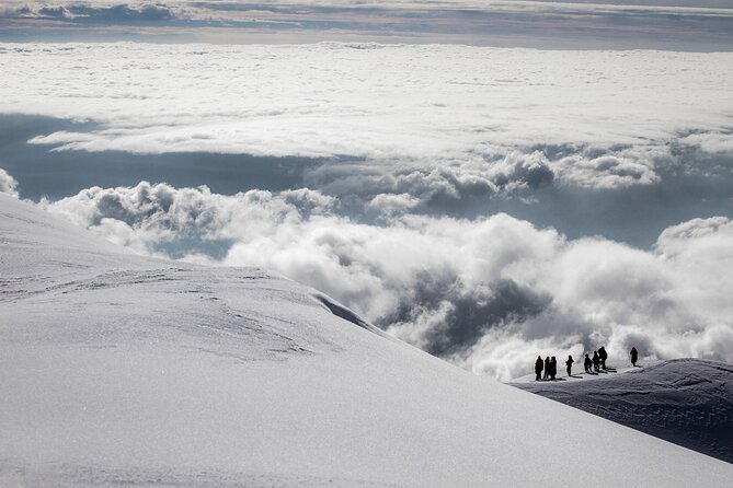 Amazing Etna Morning Tour with Pickup and Drop-Off from Catania - Price and value: what $68.41 really buys you