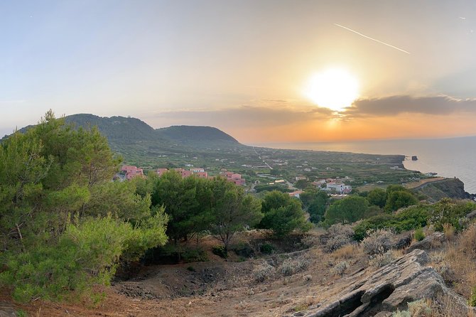 Archaeological excursion to the Rocca della Falconiera in Ustica - Quick hits: what makes Rocca della Falconiera special