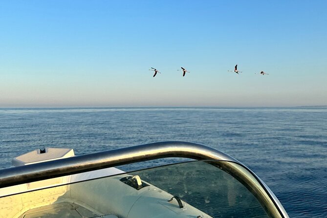 Avola: Vendicari Capopassero Group Boat Tour and Aperitif - Calabernardo (or Cicirata): your last water stop