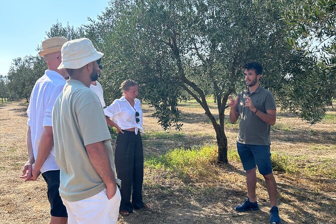 Balestrate Olive Grove Tour: Wine and Olive Oil Tasting - Where the Tour Starts: Partinico Meeting Point and What That Means