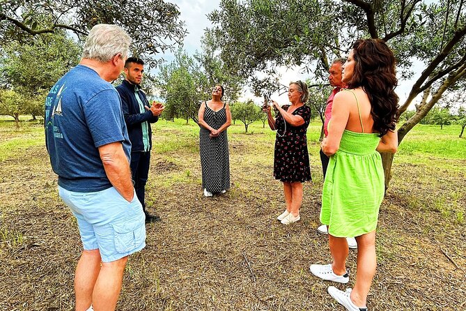Balestrate Olive Grove Tour: Wine and Olive Oil Tasting - The Tastings: EVOO, Wines, Balsamic Vinegars, and Limoncello