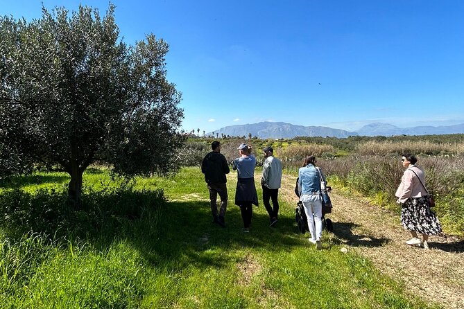 Balestrate Olive Grove Tour: Wine and Olive Oil Tasting - Walking the Olive Grove With Francesco
