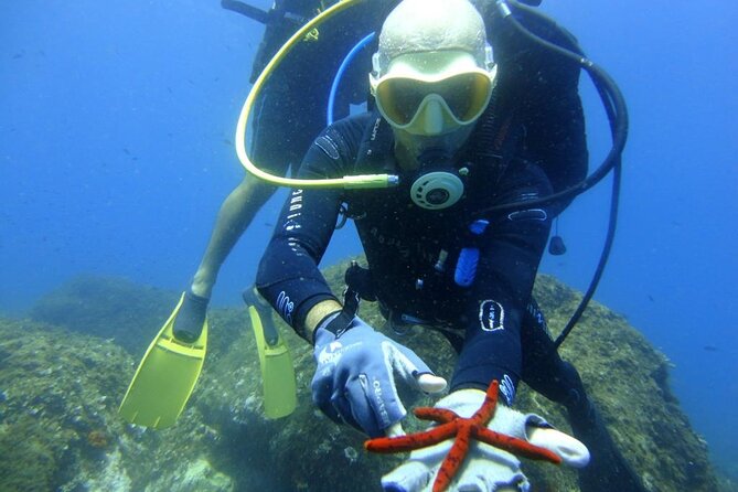 Basic Scuba Diver - Why Aci Castello works so well for this course