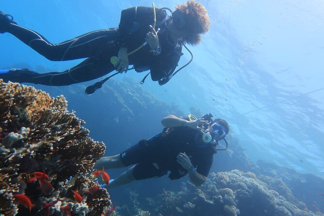 Basic Scuba Diver - The 8:30 am meet-up and wetsuit fitting near Acitrezza