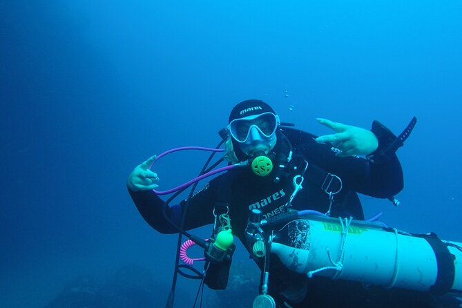 Basic Scuba Diver - Boat time near the port: what your training day feels like