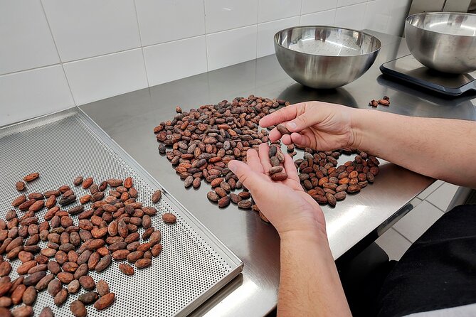 Become a chocolatier for a day, in Modica raw chocolate - A chocolate bar you actually create in Modica Alta