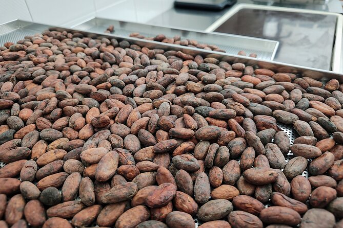 Become a chocolatier for a day, in Modica raw chocolate - Inside the workshop: what you do during the 3-hour class