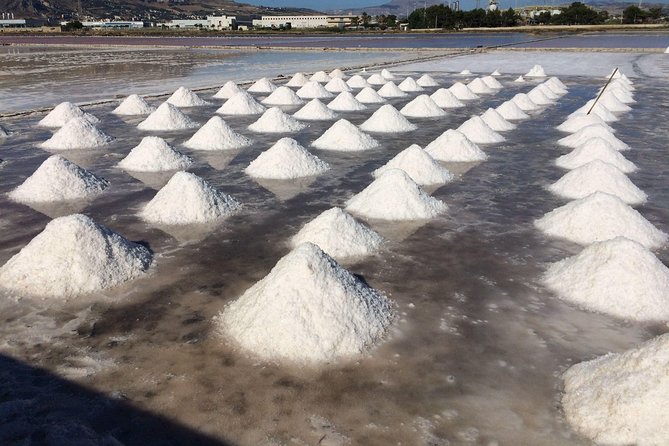 Best Excursion in western Sicily to Erice, Trapani Salt Flats from Palermo - Who this tour fits best