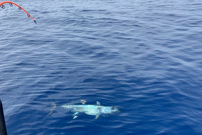 Bluefin Tuna Fishing Charter in the Egadi Islands - Getting Ready on Board: It’s Not Just Fishing Gear, It’s Technique