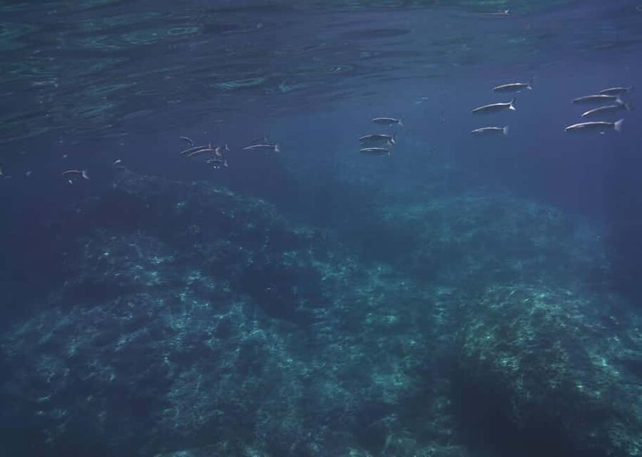 Boat excursion Giardini Naxos Taormina with swimming break - Kristal Boat comfort, life jackets, and onboard extras