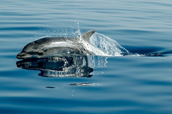 Boat Snorkeling with Aperitif on Board at Sunset - Who Should Book This Sunset Snorkeling Aperitif Tour