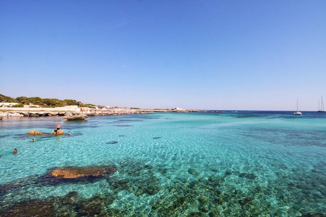 Boat tour Excursion from Trapani to Favignana and Levanzo 8 hours - What you’re really buying: a full Egadi day, not just a boat ride