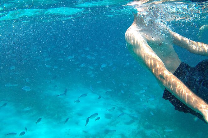 Boat tour Excursion from Trapani to Favignana and Levanzo 8 hours - Onboard vibe: what the small group really feels like