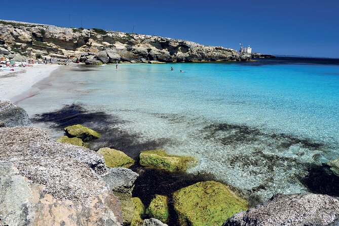 Boat tour Excursion from Trapani to Favignana and Levanzo 8 hours - Price and value: is $138.47 per person fair for this day?
