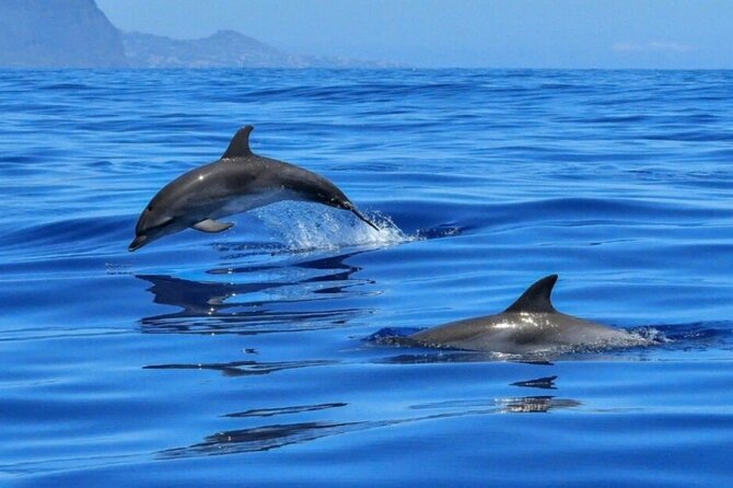 Boat tour Giardini Naxos Taormina Isola Bella Blue Grotto - Isola Bella: the protected islet you’re not supposed to treat like a souvenir