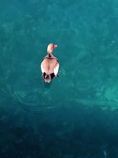 Boat tour:isola bella taormina - Who this tour is best for (and who may want something else)