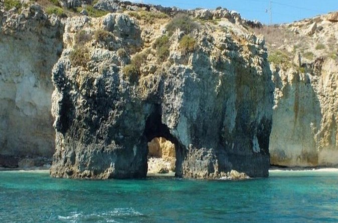 Boat tour with dolphin sighting - What’s on board: drinks included, snorkeling not included