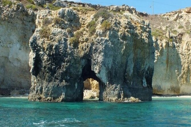 Boat tour with dolphin sighting - Weather matters more than you think