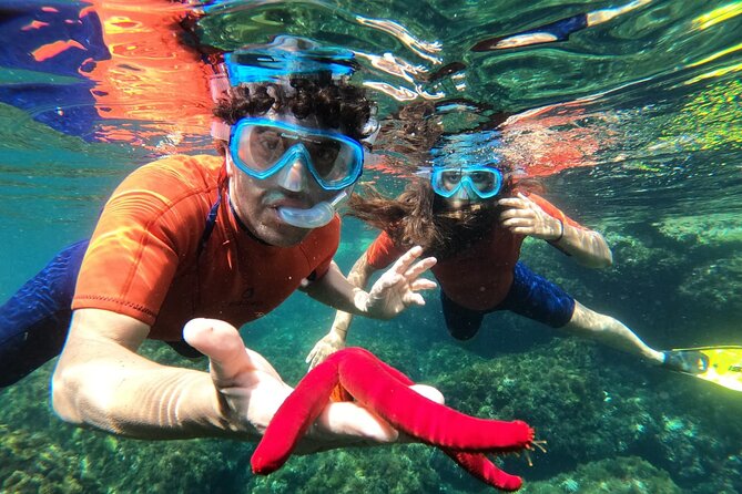 Boat trip Isola Bella with snorkeling - Price and value: $65.85 for two hours with a real payoff