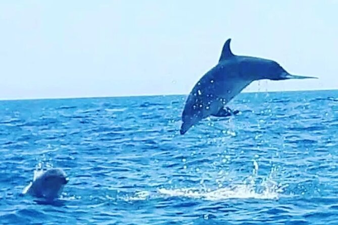 Boat trips with Zorro - Who this trip suits best (and who should think twice)