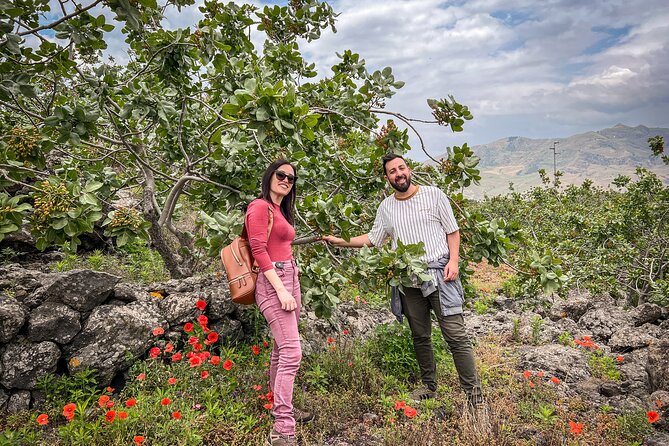 Bronte Pistachio Farm Tour and Lunch with Farmer - Key Highlights You’ll Care About